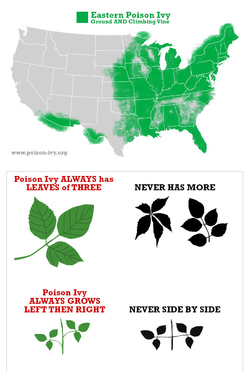 How-to-identify-poison-ivy