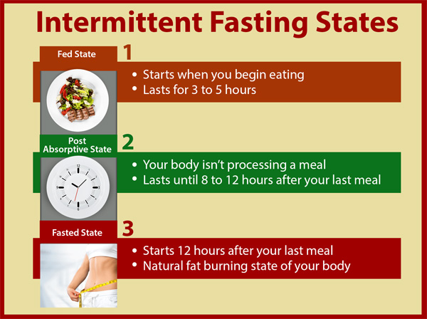 Intermittent Fasting States