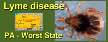 PA Worst State for Lyme Disease