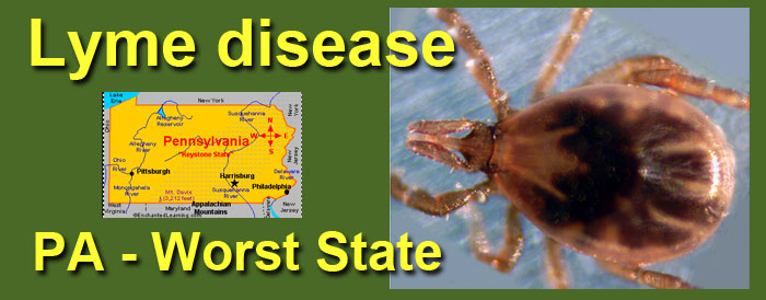 PA Worst State for Lyme Disease