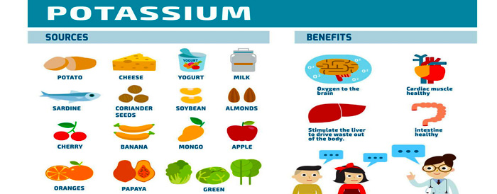 What Is The Purpose Of Potassium In The Human Body 