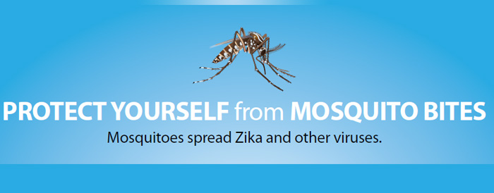 Protect yourself and your family from mosquito bites