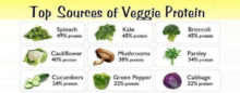 Veggie-Protein